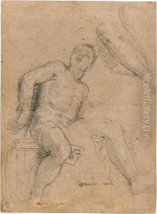 A Seated Nude Young Man, Looking
 Upwards And Seen From Below, And A Detail Of The Legs Of Another Figure Oil Painting by Paolo Veronese (Caliari)