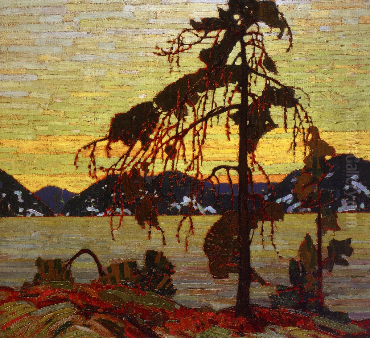 The Jack Pine Oil Painting by Tom Thomson