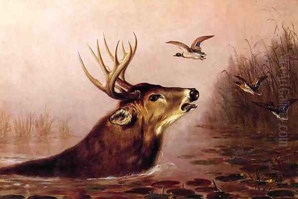 Deer in Marsh Oil Painting by Arthur Fitzwilliam Tait