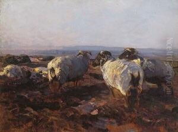 Heidschnucken Im
 Abendlicht. Oil Painting by Heinrich Johann Von Zugel