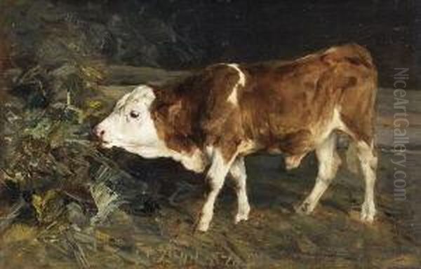 Junger Bulle Auf Einer
 Wiese Oil Painting by Heinrich Johann Von Zugel