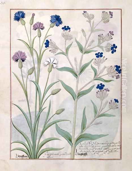 Illustration from the Book of Simple Medicines by Mattheaus Platearius d.c.1161 c.1470 23 Oil Painting by Robinet Testard