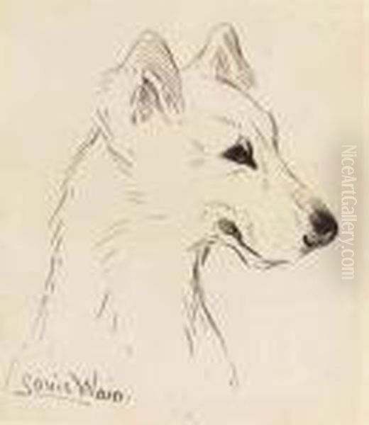 Portrait Of A Dog, Bust-length Oil Painting by Louis Wain