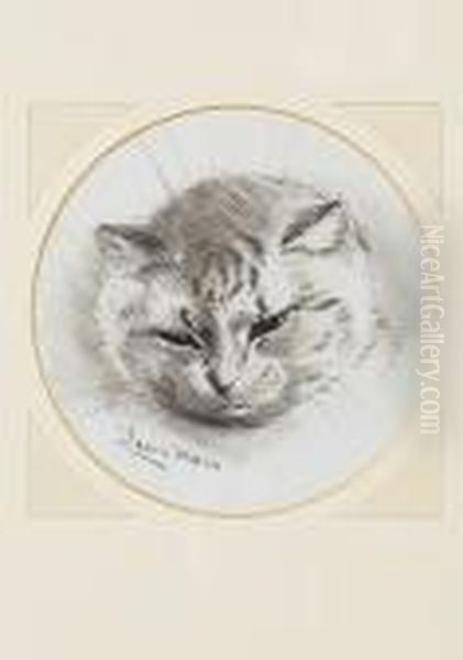 The Sleepy Cat Oil Painting by Louis Wain