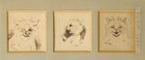 Wink Wink; Unbelievable!; How Delightful! (aset Of Three Within One Frame) Oil Painting by Louis Wain