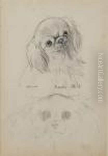 Manchu Chi-li (recto); Manchu Shansi (verso) Oil Painting by Louis Wain