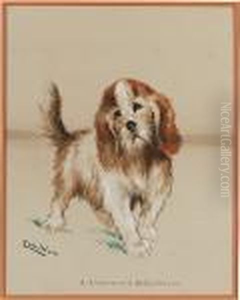A Rough-haired Bassethound Oil Painting by Louis Wain