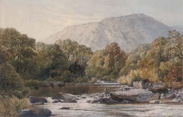 A Watchful Eye Oil Painting by George Stanfield Walters