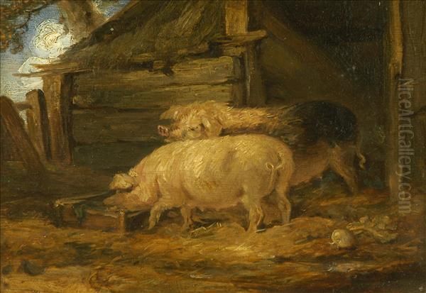 Feeding Time, Pigs In A Sty Oil Painting by James Ward