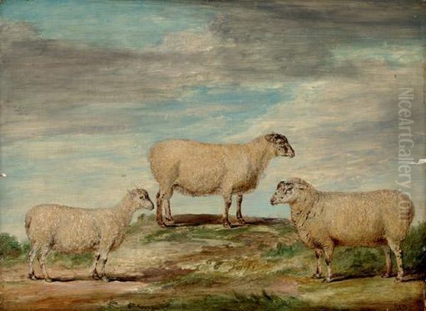 Elman's South Down Ram, Ewe And Wether Oil Painting by James Ward