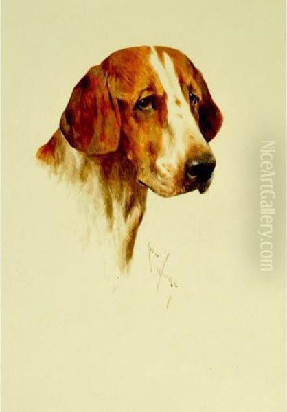 Study Of A Foxhound Oil Painting by Arthur Wardle