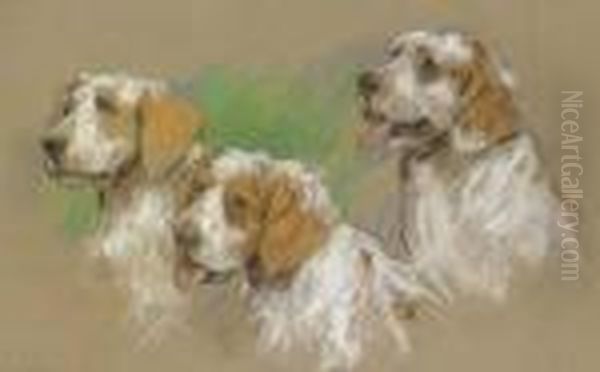 Study Of Three Clumber Spaniel Puppies Oil Painting by Arthur Wardle