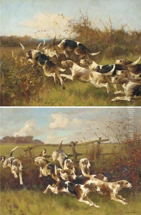 Hounds Of The Leicestershire Pack Oil Painting by Arthur Wardle