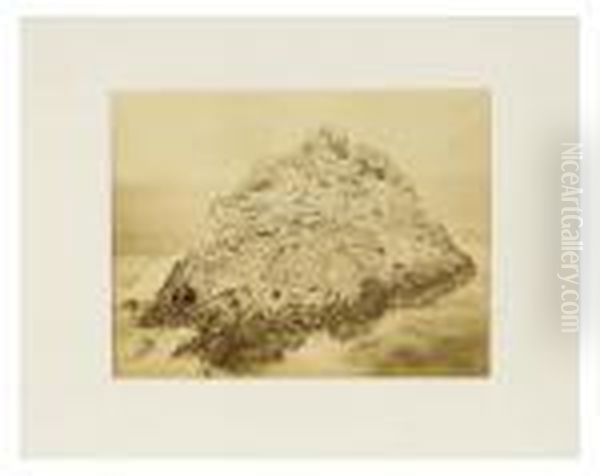 Seal Rock, Farallini Island, Pacific Ocean Oil Painting by Carleton Emmons Watkins