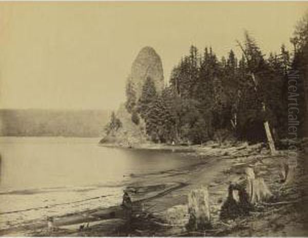 Selected Oregon Studies Oil Painting by Carleton Emmons Watkins