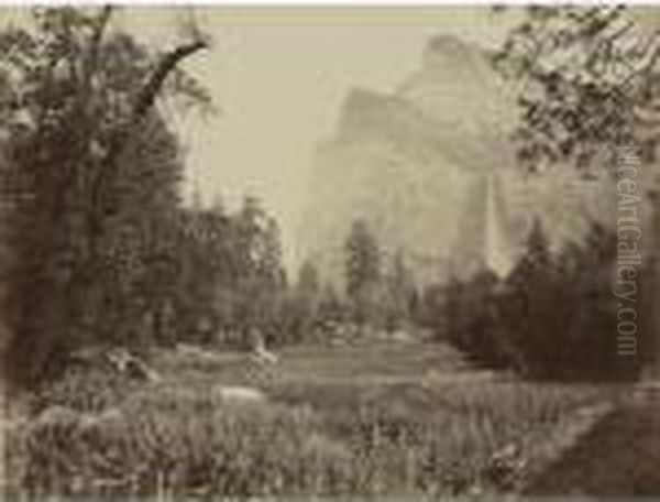 Bridal Veil, From The Black Spring, Yosemite Oil Painting by Carleton Emmons Watkins