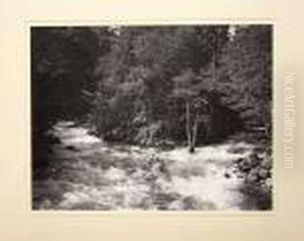 Matted Silver Gelatin Photographs Oil Painting by Carleton Emmons Watkins
