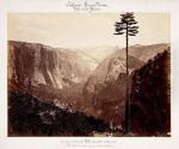 Yosemite Valley (best General View, Mariposa Trail), Sierra Nevada, Californie Oil Painting by Carleton Emmons Watkins