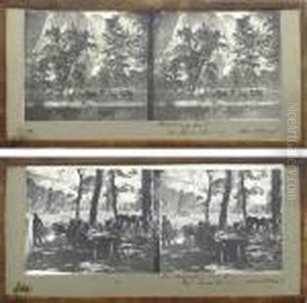 Selected Stereoviews Of The Mariposa Estate And Yosemite, C. 1861 Oil Painting by Carleton Emmons Watkins