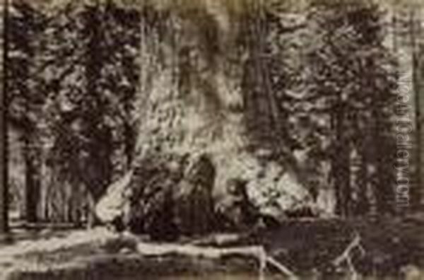 Untitled Oil Painting by Carleton Emmons Watkins