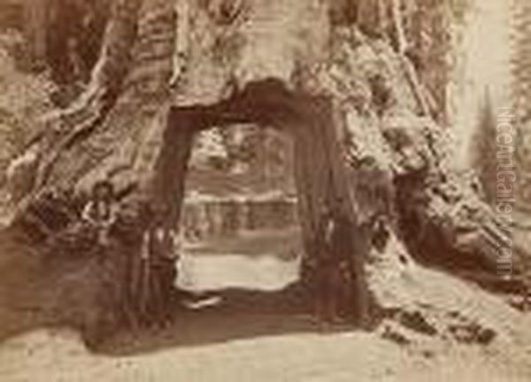 Untitled Oil Painting by Carleton Emmons Watkins