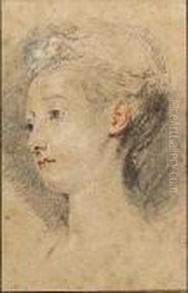 Head Of A Young Girl Oil Painting by Jean-Antoine Watteau