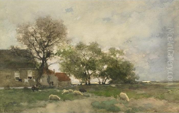 Dutch Farm Scene With Sheep Grazing Oil Painting by Jan Hendrik Weissenbruch
