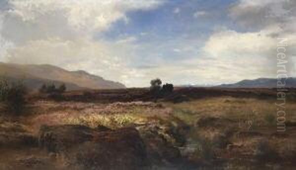 Oberbayerische
 Moorlandschaft Oil Painting by Joseph Wenglein