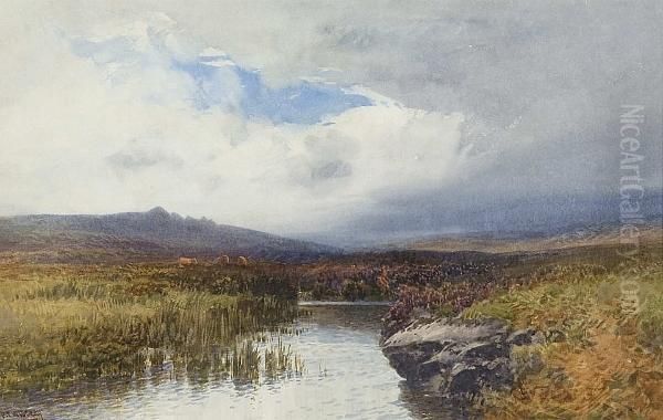 A Moorland Pool Near Lydford Dartmoor Oil Painting by Frederick John Widgery