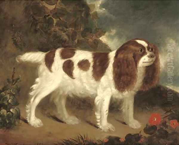 A King Charles Spaniel in a rocky landscape Oil Painting by Wilfred Thompson