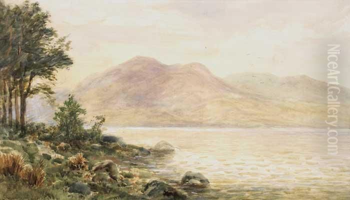 Shannon At Lough Derg Oil Painting by Alexander Williams