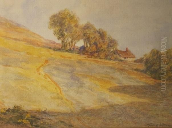 Sunlight And Shadow Oil Painting by Terrick John Williams