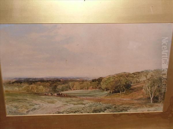 Wmperis A Newforest Upland Oil Painting by Edmund Morison Wimperis