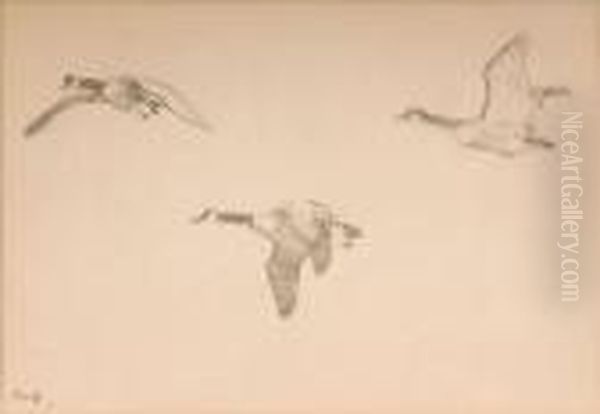 Geese In Flight Oil Painting by Frank Watson Wood