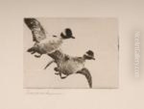 Flying Buffleheads Oil Painting by Frank Watson Wood