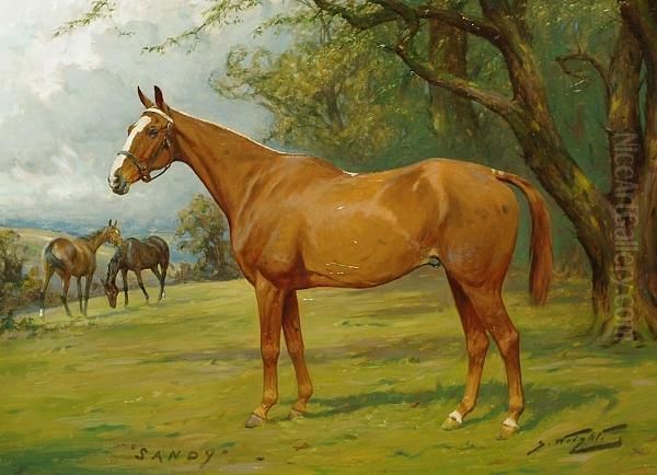 Portrait Of A Chesnut Hunter, 'sandy' Oil Painting by George Wright