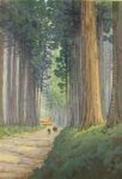 Avenue Of Cryptomeria In Nikko Oil Painting by Hiroshi Yoshida