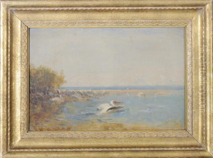 Pelicans Oil Painting by Felix Ziem