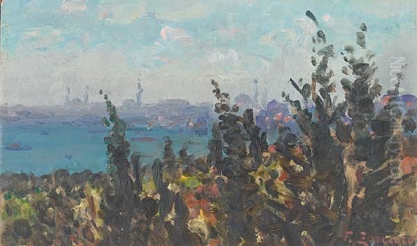 The Golden Horn From Galata,constantinople Oil Painting by Fausto Zonaro