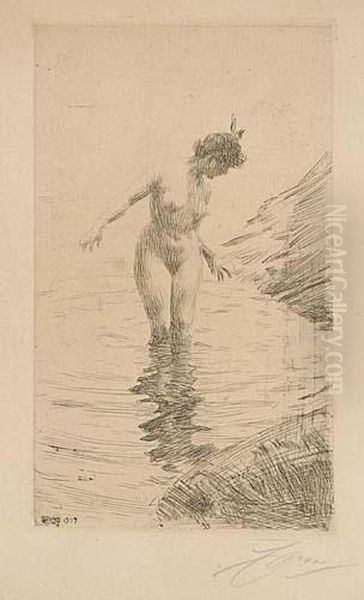 Cercles D'eau Ii Oil Painting by Anders Zorn