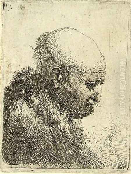 A bald-headed Man in Profile right Oil Painting by Harmenszoon van Rijn Rembrandt