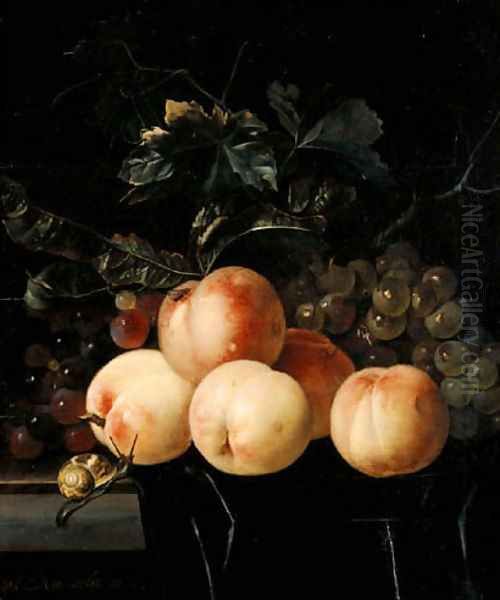 Peaches And Grapes Oil Painting by Willem Van Aelst