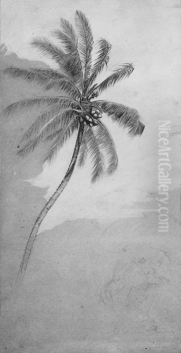 Palm Tree Oil Painting by Elihu Vedder
