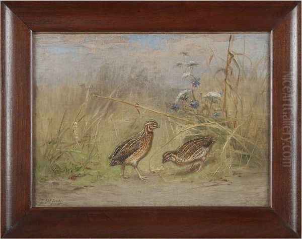 Cailles Dans Les Bois Oil Painting by Jules Bertrand Gelibert