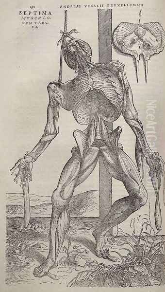 Dissected human body 1543 Oil Painting by Andreas Vesalius