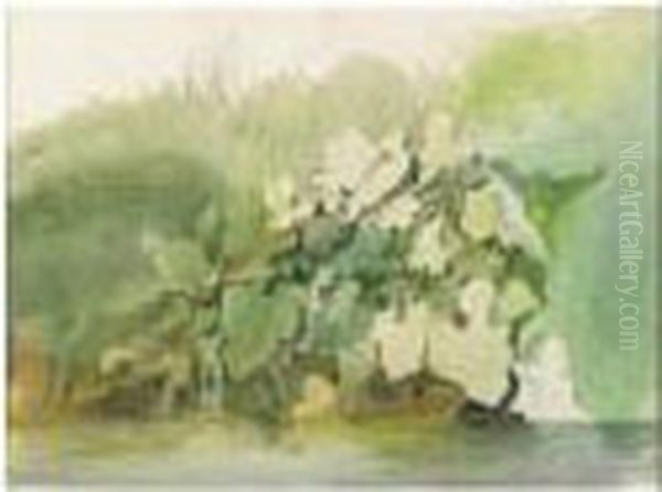 Plant Studies: A Double-sided Watercolor Oil Painting by Edward Duncan