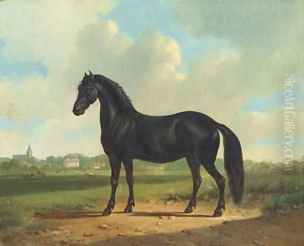 Black beauty Oil Painting by Albertus Verhoesen