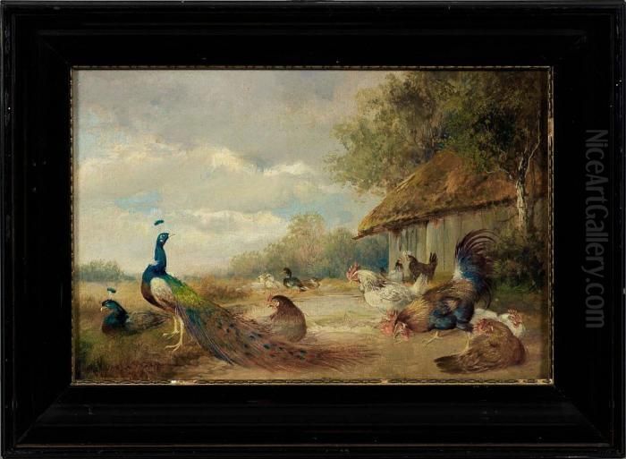 Stolzer Pfau Mit Hahnenund Huhnern Vor Einer Scheune Oil Painting by Max I Hanger