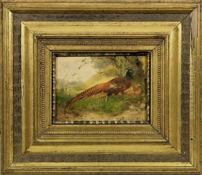 Fasanenpaar Amwiesenrand Oil Painting by Max I Hanger