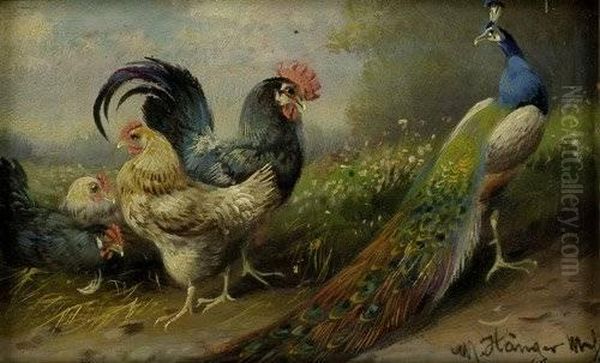 Huhnerhof Mit Einem Pfau Oil Painting by Max I Hanger